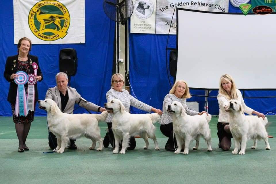 Breeders Team in Show