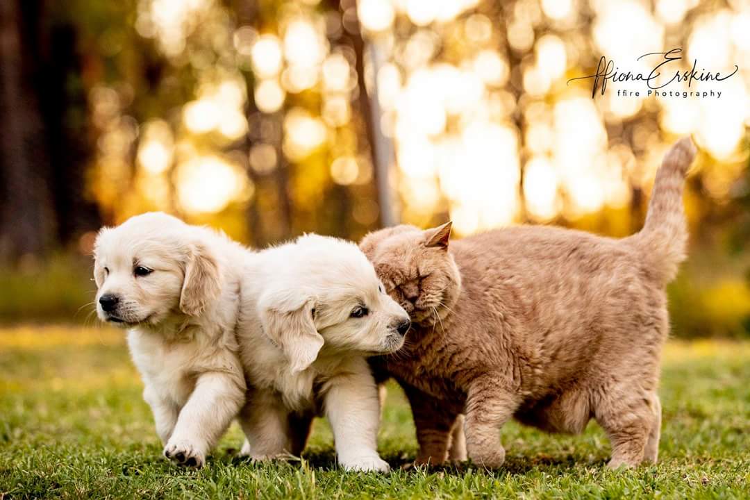 FB_IMG_1526347108257